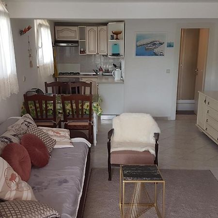 Apartment Branka ラビン エクステリア 写真